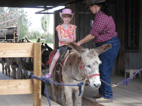 arizona-scottsdale-rawhide-riding burro