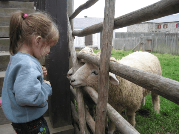 nova scotia-cape breton-fortress of louisburg-girl meeting sheep