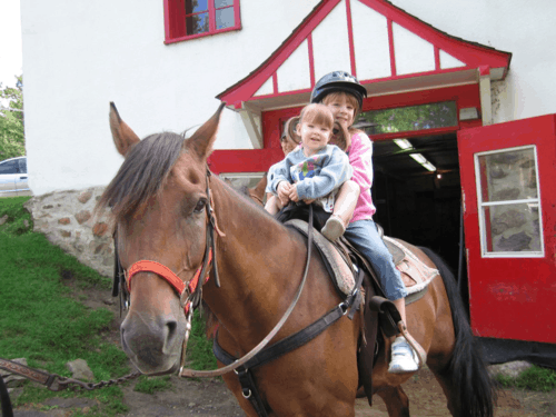 chateau montebello-horseback riding