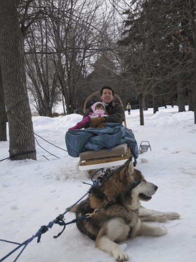 chateau montebello-dog sledding