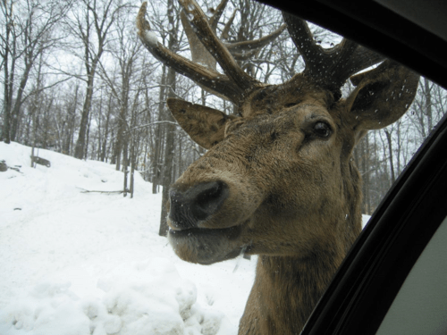 montebello-omega park