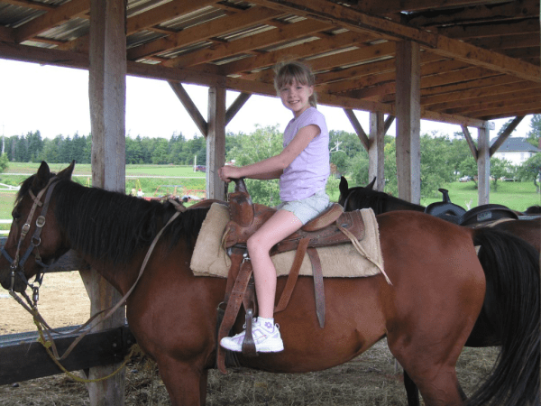 prince edward island-millstream trailriding stable
