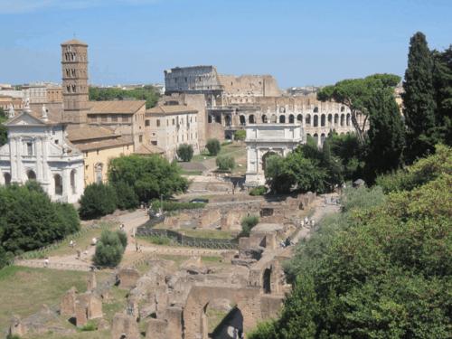 rome-colosseum from palatine hill