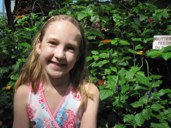 Niagara Parks Butterfly Conservatory