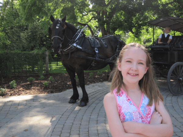 Niagara Parks Butterfly Conservatory