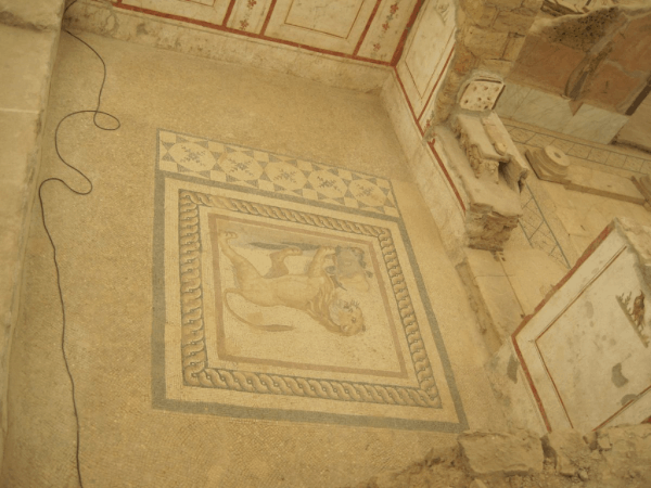 turkey-ephesus-Terrace Houses