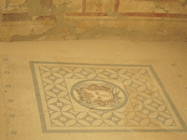 turkey-ephesus-Terrace Houses-Mosaic Floors