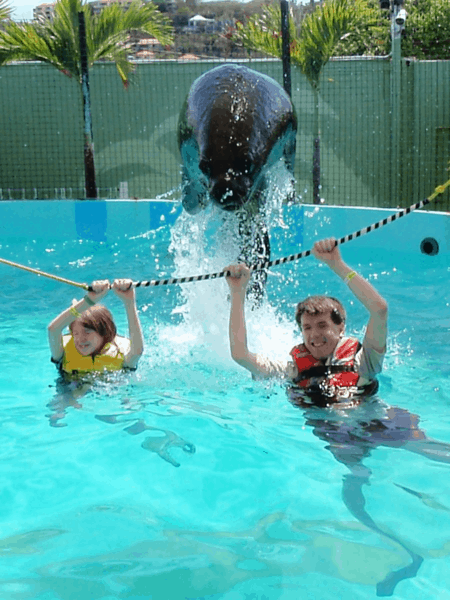 Jumping sea lion at Coral World, St. Thomas, USVI