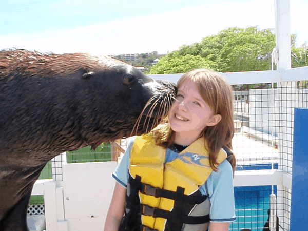 Kissing sea lion at Coral World, St. Thomas, USVI