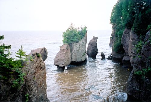 High tide at Hopewell Rocks