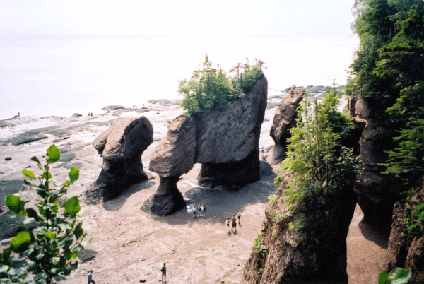 Canada-New Brunswick-Hopewell Rocks