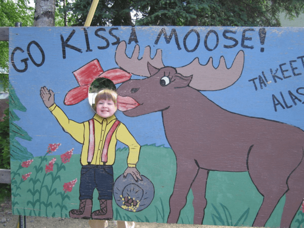 The Moose of Talkeetna