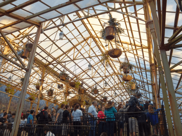 Orlando-Wizarding World of Harry Potter-Queue through Hogwarts' Greenhouse