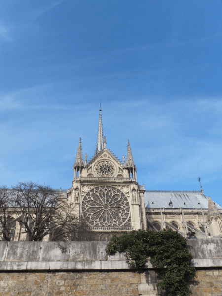 Paris-Notre Dame from the Seine