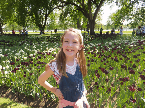 Ottawa-Commissioners Park tulips