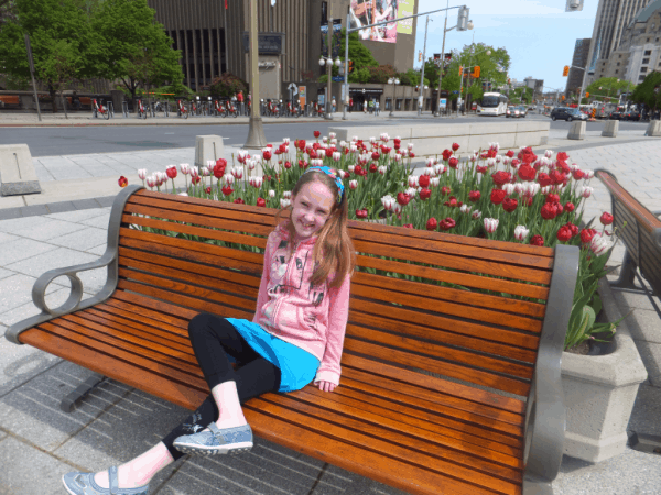 Ottawa-first view of tulips