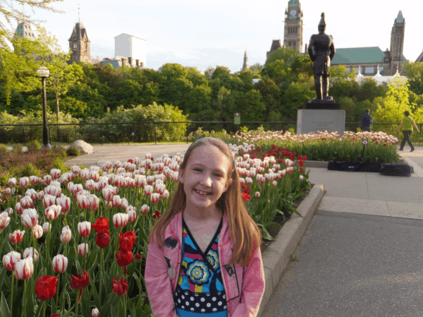 Ottawa-tulips in Major's Hill Park