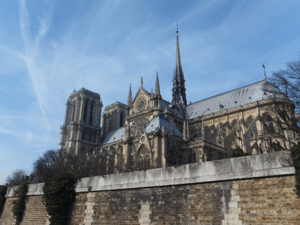 France-Paris-Seine cruise-Looking up at Notre Dame