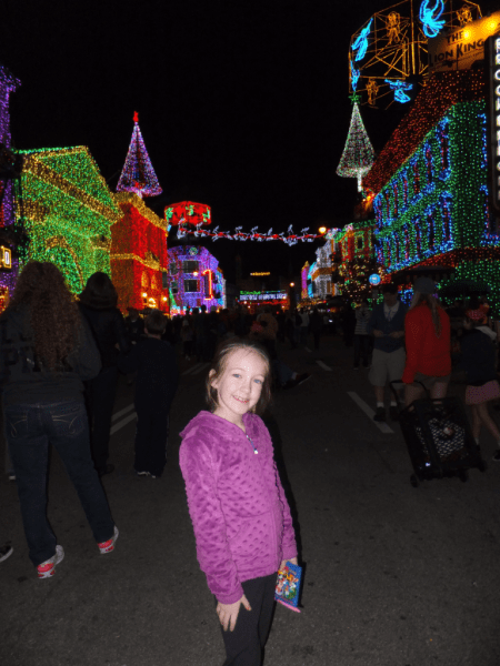 Disney World-Osborne Family Lights 