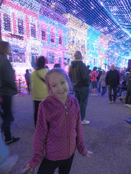 Disney World-Osborne Family Lights