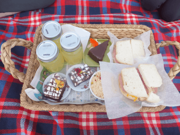 Newfoundland-Picnic Lunch at Ferryland Lighthouse