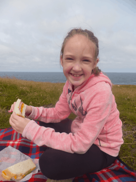 Newfoundland-Ferryland Lighthouse picnic lunch