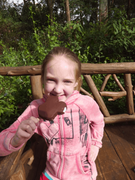 Disney World-Mickey's Ice Cream