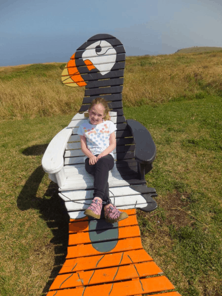 newfoundland-elliston-puffin colony