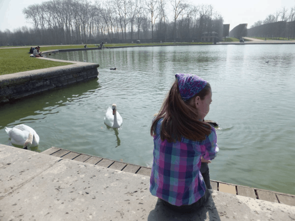 Watching swans at Chateau de Versailles