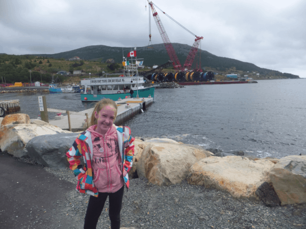 Newfoundland-Bay Bulls-Witless Bay tour