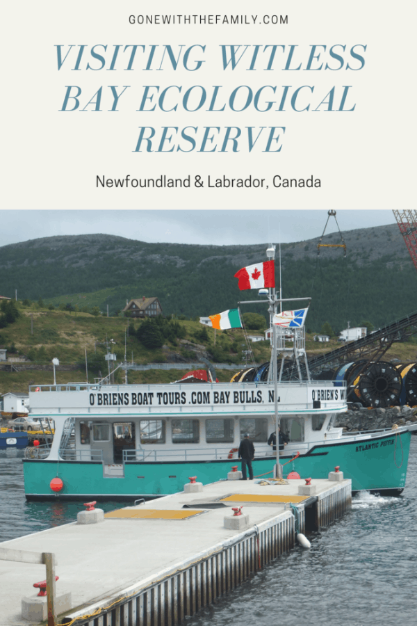 Visiting Witless Bay Ecological Reserve in Newfoundland  Canada - Gone with the Family