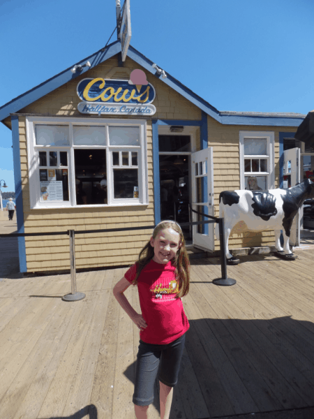 Cows Ice Cream in Halifax