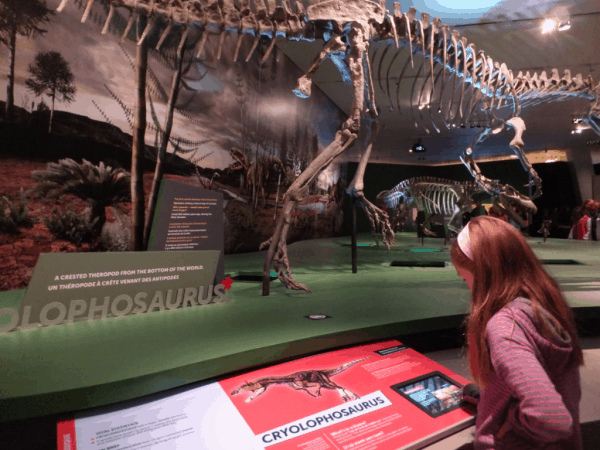 Toronto-ROM-Ultimate Dinosaurs Exhibit 