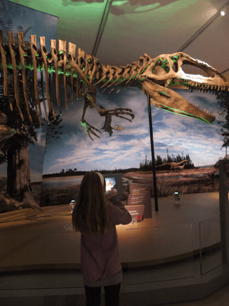 Toronto-ROM-Ultimate Dinosaurs Exhibit 