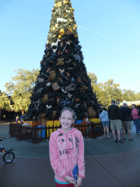 Disney-Animal Kingdom-Christmas Tree