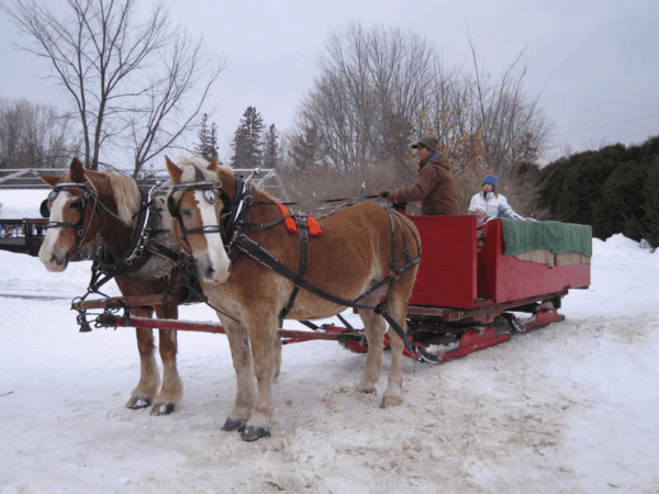 Qeubec-Sleigh ride at Montebello