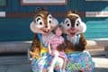 With Chip and Dale at Castaway Cay