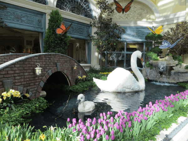 Las Vegas-Bellagio Conservatory flower display