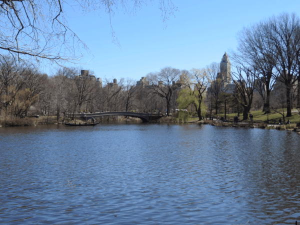 New York City-Central Park