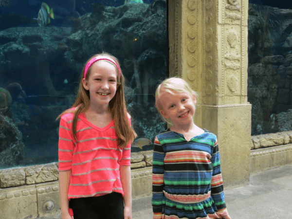 Las Vegas-Shark Reef Aquarium at MandalayBay