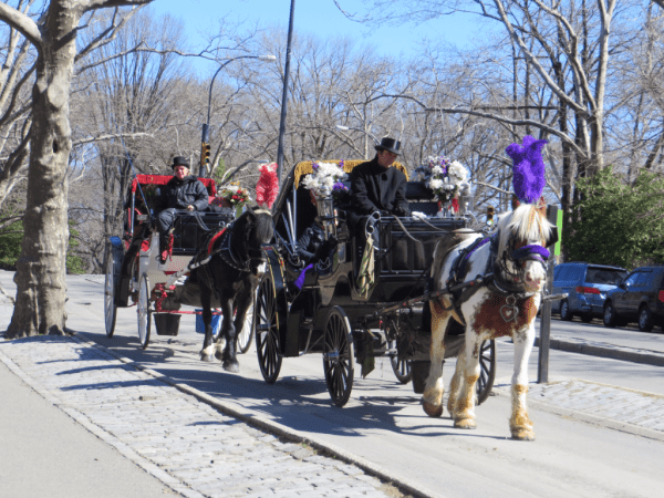 New York City-Central Park carriages