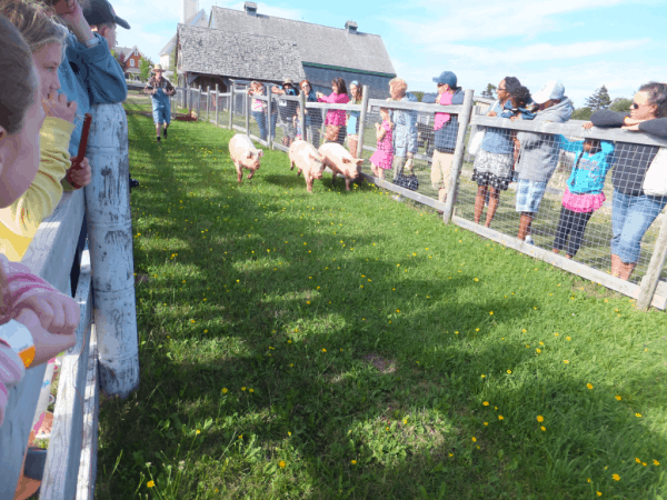 PEI-Village of Avonlea