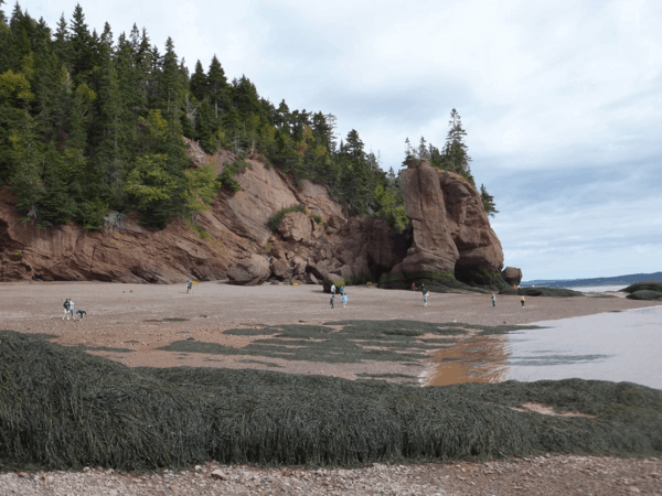 New Brunswick-Hopewell Rocks 