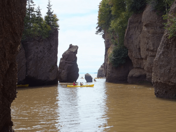 New Brunswick-High Tide at Hopewell Rocks 