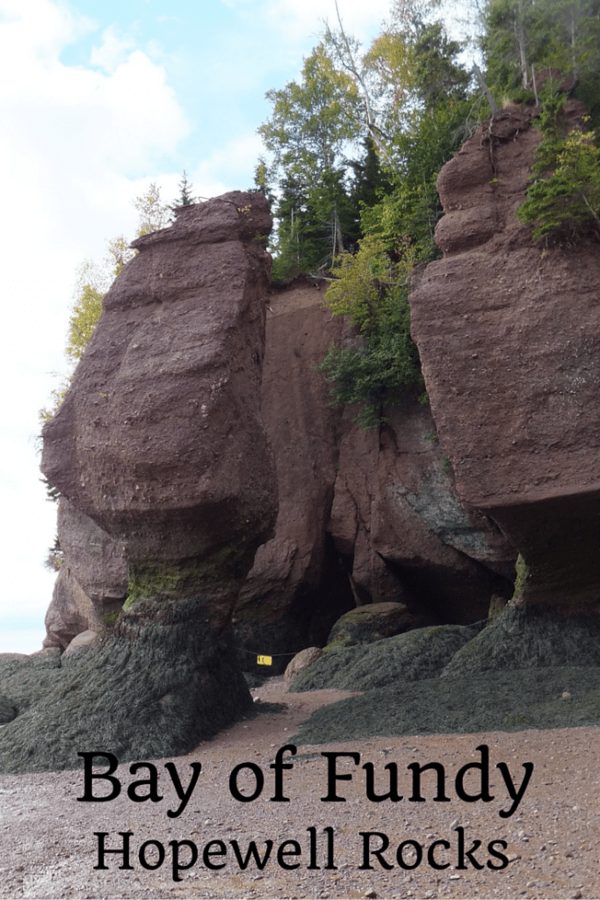 Bay of Fundy - Hopewell Rocks - Gone with the Family