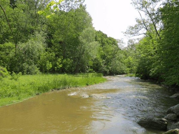 toronto-Woodland area of Rouge Park