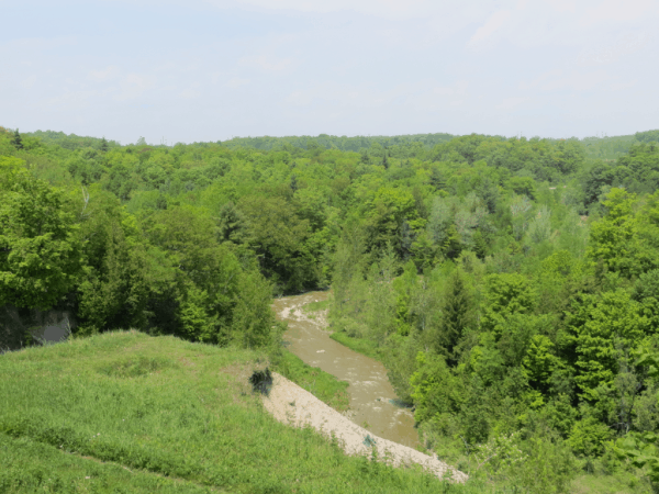 Toronto-Rouge Creek