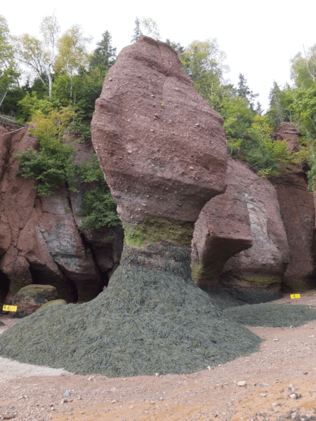 New Brunswick-Hopewell Rocks