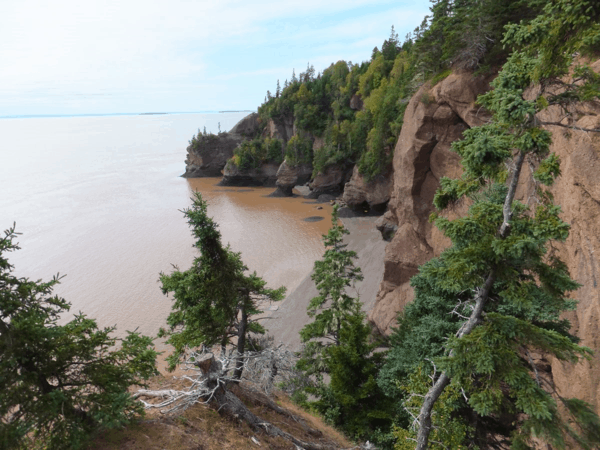 New Brunswick-Hopewell Rocks-Bay of Fundy tide coming in