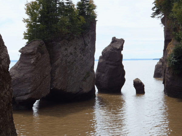 New Brunswick-High Tide at Hopewell Rocks